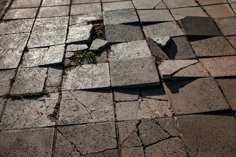 Commercial Paver Repair Services
